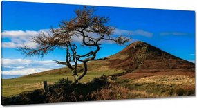 Vászonkép 115x55 Elpusztíthatatlan fa