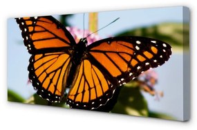 Canvas képek színes pillangó 120x60 cm