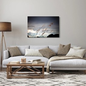 Kép - Rét virágai a tónál (90x60 cm)