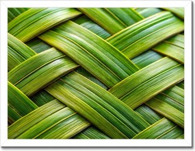 Poszterek keretben 40x30 Zöld fonott zöld rattan