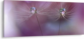 A cseppek képe a bolyhon (120x50 cm)