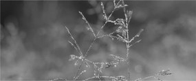 Kép - Vidéki rét (120x50 cm)