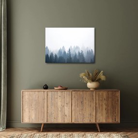 Kép - Ködös erdő (70x50 cm)