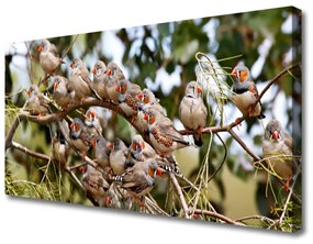Canvas kép madarak Állatok 120x60 cm