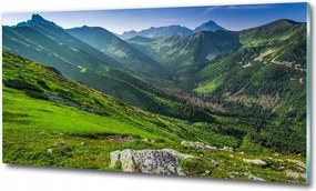 Fotótapéta üvegfalra Zöld dombok 125x50