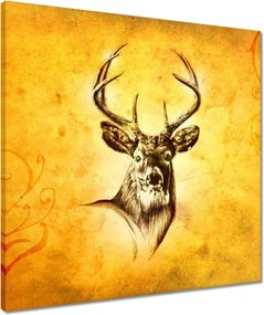 Vászonkép 50x50 Szarvasfej szarvakkal