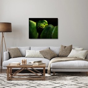 Üveg kép - Zöld kígyó (70x50 cm)
