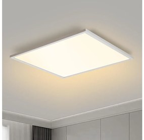 Brilagi Brilagi - LED Dimmelhető lámpa SLIMFRAME LED/58W/230V 60x60 cm fehér + távirányító BG1544