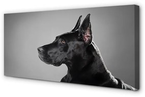 Canvas képek Fekete kutya 125x50 cm