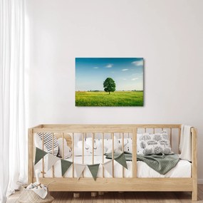 Egy fa képe egy rét közepén (70x50 cm)