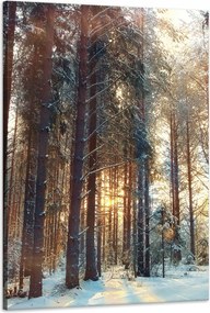 Vászonkép Erdő Tél Hó Fehér Természet 60x90 cm