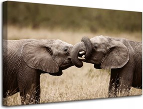 Vászonkép Elefántok találkozása Afrika Természet 80x50 cm Ideális ajándék