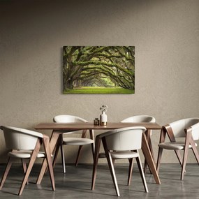 Kép - Oaks Avenue, Charleston, Dél-Karolina, Egyesült Államok (90x60 cm)