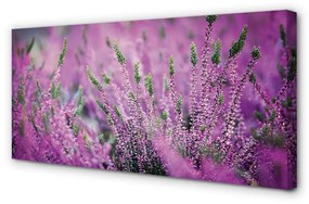 Canvas képek mező csarabosai 125x50 cm