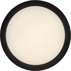 Shaun Plus