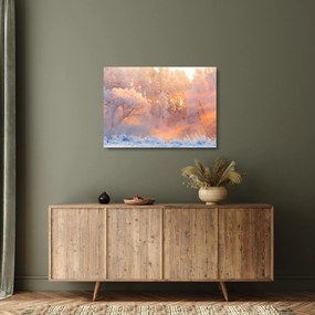 Kép - fagyos hajnal (üvegen) (70x50 cm)