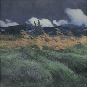 Fotótapéta Fali ragasztó szett Felfújható fű 250x250 Ragasztó