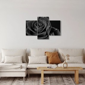 Kép - Bíborvörös rózsa (90x60 cm)