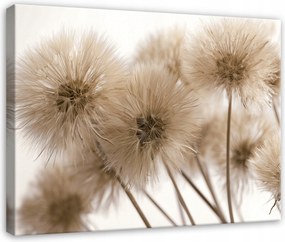 Vászonkép Pitypang Virágok Boho Természet Hálószoba Nappali Vászon 120x80