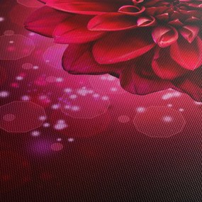 Piros virágok képe (120x50 cm)