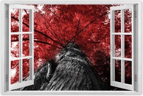 Poszterek 60x40 mamutfenyő Magas fa