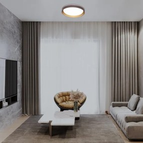 Rabalux 71308 - LED Dimmelhető mennyezeti lámpa LADAN LED/48W/230V 3000-6500K + távirányító