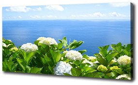 Vászon nyomtatás Virágok a tengerparton oc-87726143