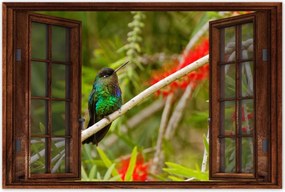 Poszterek 90x60 Madarak