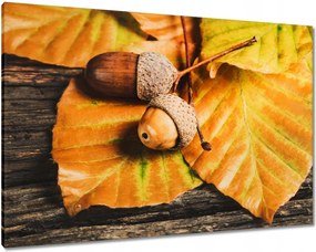 Vászonkép 100x70 Makkok a leveleken