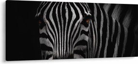 Zebra képe (120x50 cm)