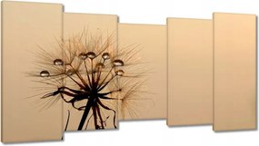 Vászonkép 150x80 Pitypang Virág Virágok