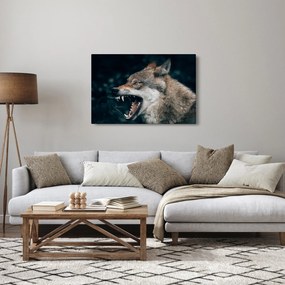 Farkas képe (90x60 cm)