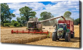 Vászonkép Kombájn és traktor 100x70 cm