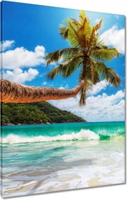 Vászonkép 60x80 Trópusok Tájkép Pálmafák