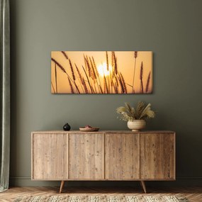 Kép - Füvek a napon (120x50 cm)
