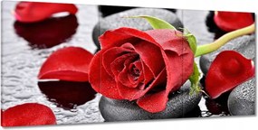 Vászonkép 210x100 Vörös rózsa Neki