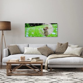 Pitypang képe (120x50 cm)