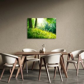 Üveg kép - Varázslatos rét tele pitypanggal (70x50 cm)