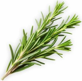 EMI Rosemary aromapárna 50x70 cm