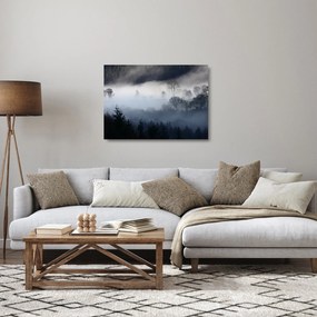 A köd képe az erdő felett (üvegen) (70x50 cm)
