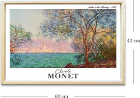 4262AHSMONET-001