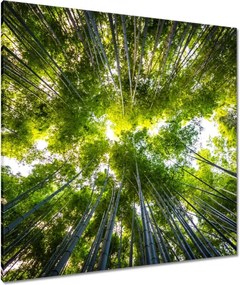 Vászonkép 90x90 Bambusz trópusi erdő