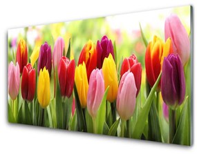 Üvegkép Tulipán virágok természet 140x70 cm