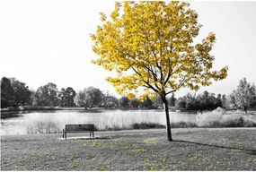 Kép - Pihenés a parkban (90x60 cm)