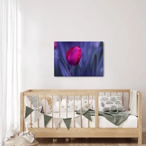 Tulipán bimbó képe (70x50 cm)