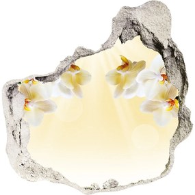 3d lyuk fal dekoráció Orchidea nd-p-72852358
