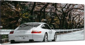 Képek 120x60 Porsche Autó