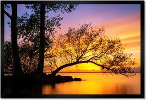 Poszterek keretben 60x40 Fák Naplemente