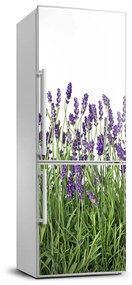 Hűtő matrica Levendula mező FridgeStick-70x190-f-107877649