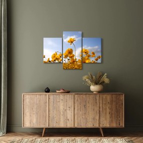 Fényes sárga virágokkal rendelkező mező képe (90x60 cm)
